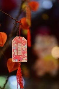 Thế giới giải trí
